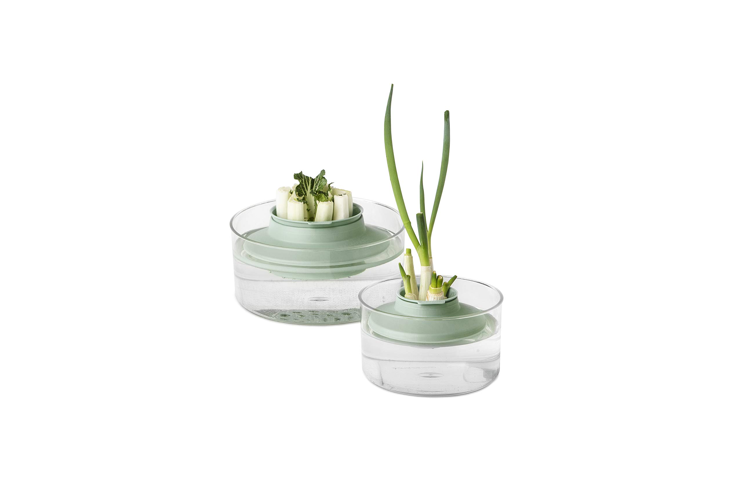 brabantia-tasty-kit-salvafreschezza-per-erbe-aromatiche-dark-grey image 3