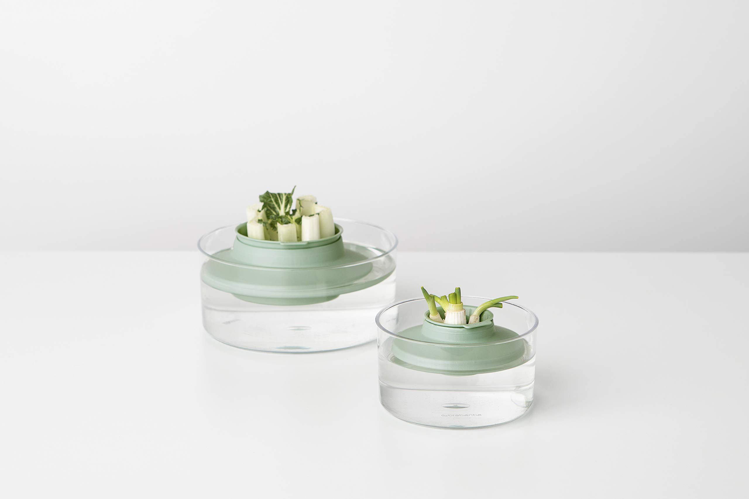 brabantia-tasty-kit-salvafreschezza-per-erbe-aromatiche-dark-grey image 5