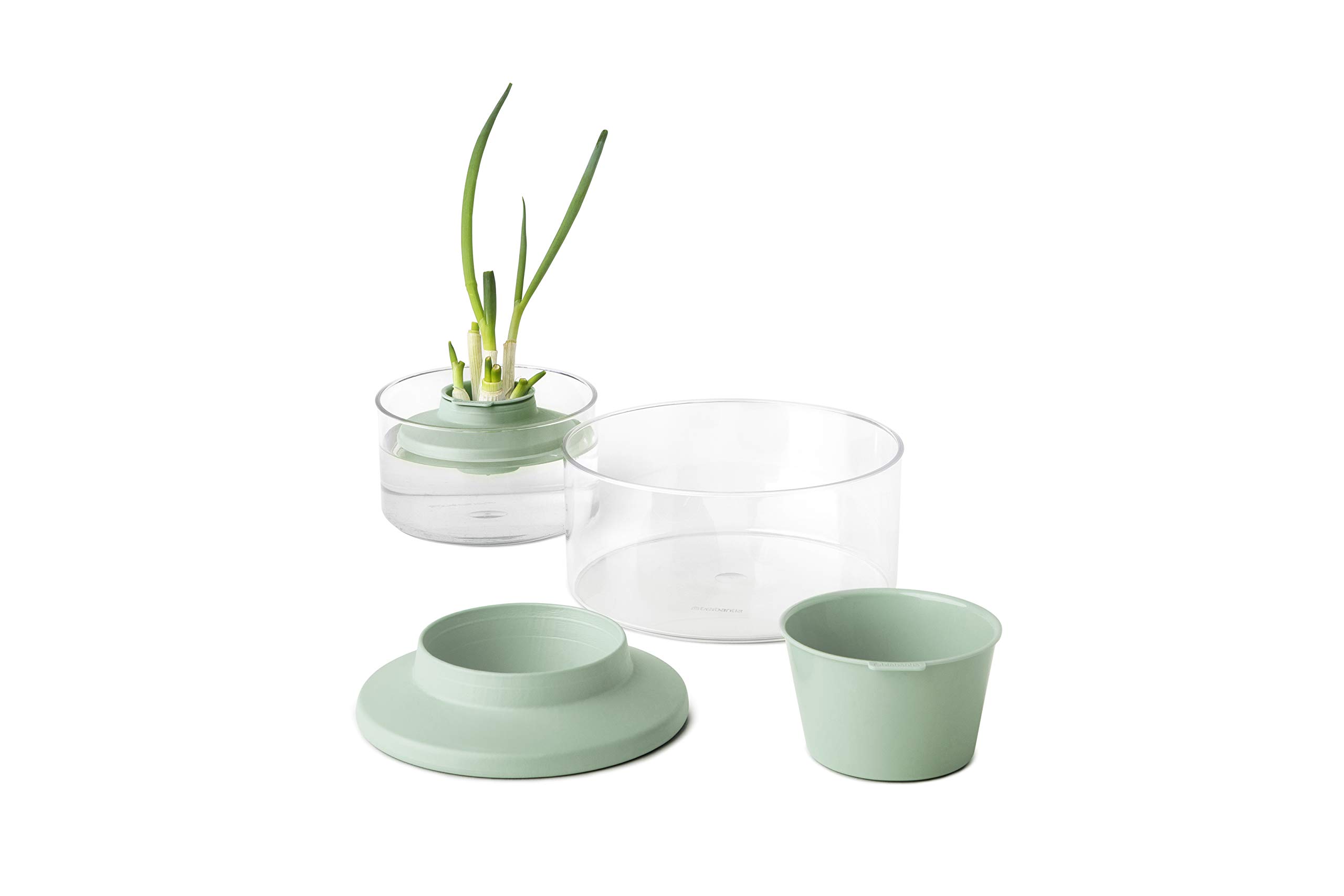brabantia-tasty-kit-salvafreschezza-per-erbe-aromatiche-dark-grey image 1