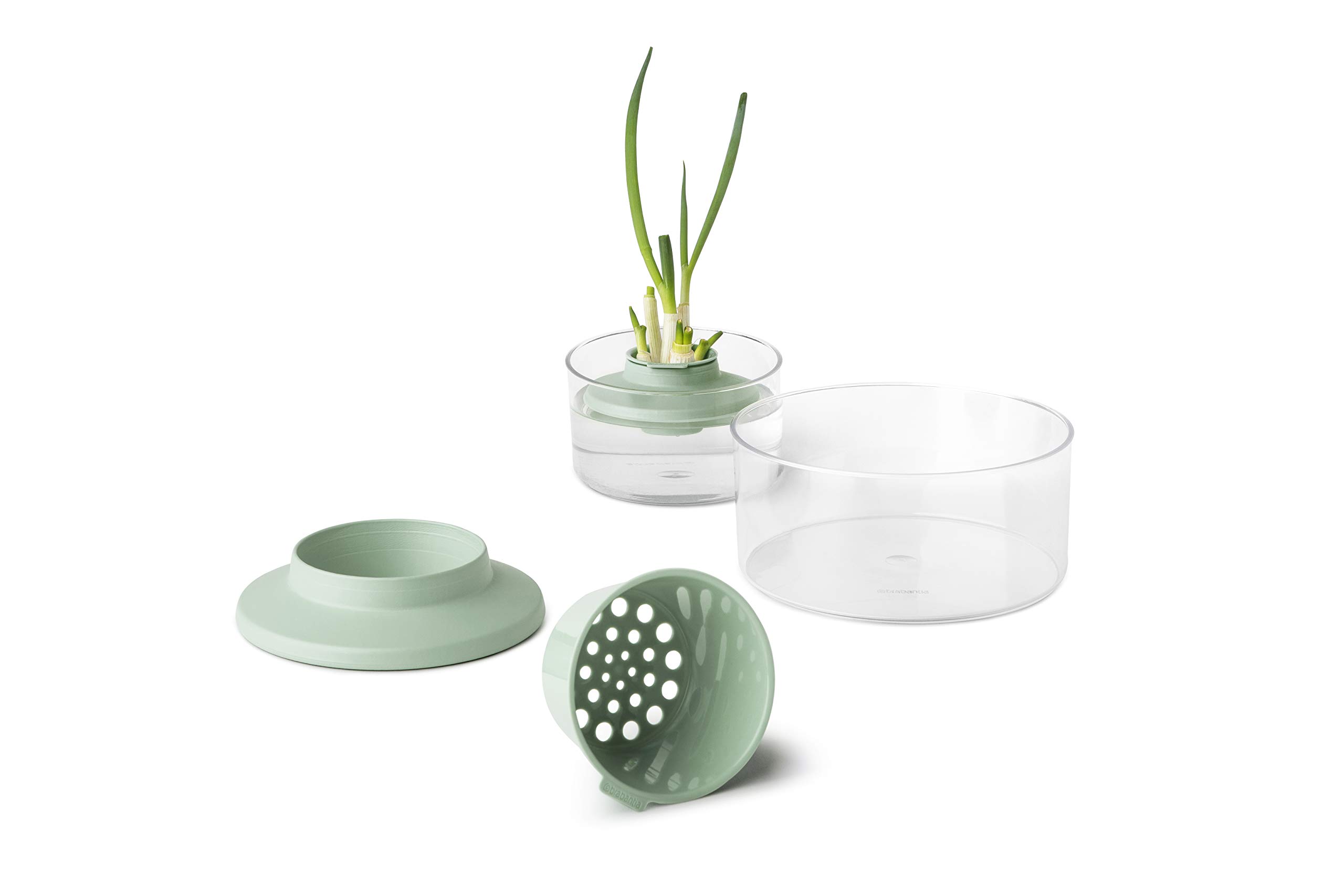 brabantia-tasty-kit-salvafreschezza-per-erbe-aromatiche-dark-grey image 4