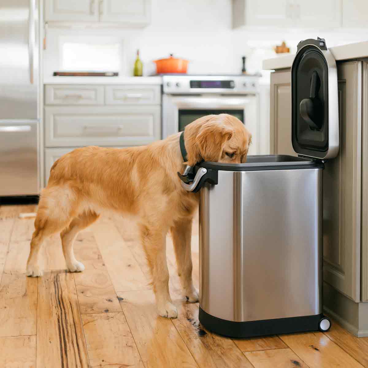 simplehuman-large-pet-food-can-contenitore-ermetico-per-crocchette-14-16-kg image 6