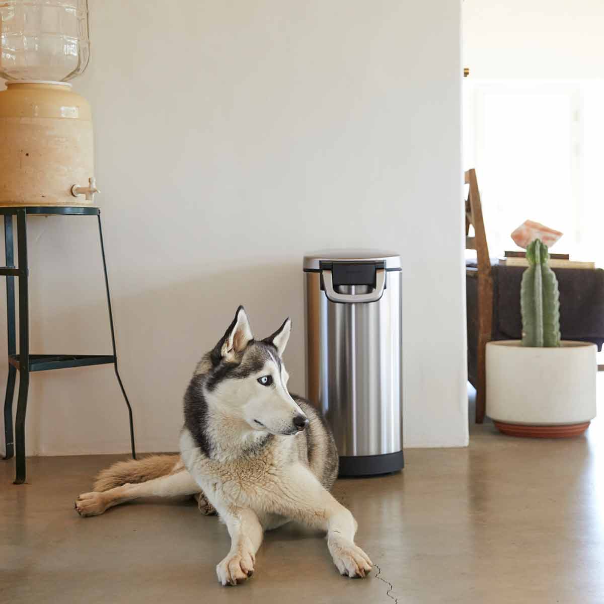 simplehuman-large-pet-food-can-contenitore-ermetico-per-crocchette-14-16-kg image 7